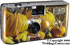 Pumpkin Cameras