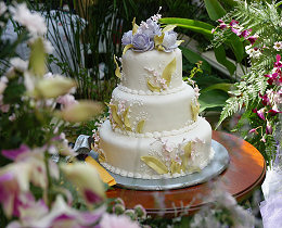 Determine the wedding budget.